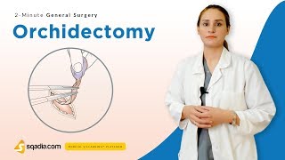 Orchidectomy  Surgery Video Lectures  Medical Student Education  VLearning [upl. by Burnett721]