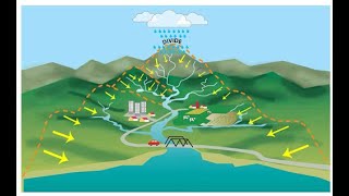 EL BOTE QUE CRUZA EL RÍO [upl. by Irra]