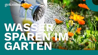 Garten Mit diesen Tipps lässt sich Wasser sparen [upl. by Yauq255]