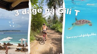 3 DAGE PÅ BALI GILI TRAWANGAN [upl. by Marigolde]