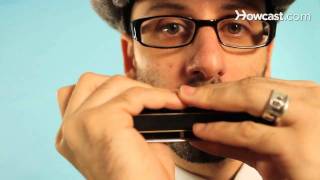 Different Types of Harmonicas  Harmonica 101 [upl. by Runck]