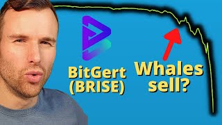 Why Bitgert is up ⚠️ BRISE BitRise Crypto Token Analysis [upl. by Huckaby]