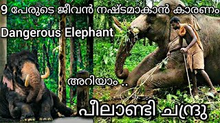 9 ജീവൻ നഷ്ടപ്പെടുത്തിയ പീലാണ്ടി ചന്ദ്രു  Peelandi Chandru Elephant [upl. by Oile]