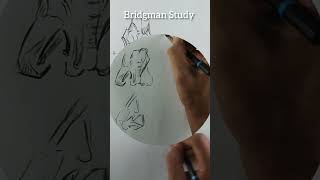 Bridgman Study  Nose Anatomy shorts youtubeshorts artbungalow [upl. by Reuben126]