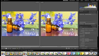 Lightroom 10  Die Vergleichsansicht verstehen und andere nützliche Tricks [upl. by Sigrid]