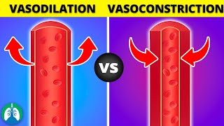 Vasoconstriction vs Vasodilation EXPLAINED [upl. by Tezzil]