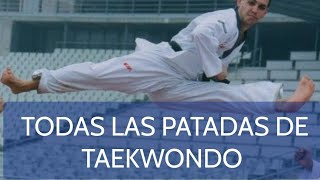 ESPECTACULAR Todas las patadas de Taekwondo [upl. by Enak655]