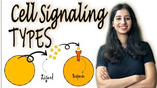 Types of Cell Signaling II Signal Molecules and Receptors [upl. by Snej956]