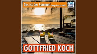 Das ist der Sommer Mungo Jerry im Radio [upl. by Akcirderf]