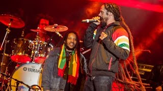 Damian Marley  Full Set Live Cali Roots 2016 [upl. by Novad194]