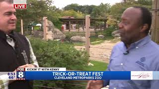 FOX 8 NEWS Cleveland Annual TrickorTreat Fest Returns To Cleveland Metroparks Zoo [upl. by Nosiddam]