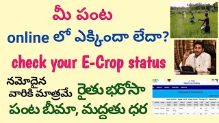 ECrop booking statusdigital crop booking statusepantaekarshak crop bookingVDMcreationstelugu [upl. by Belda]