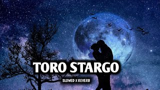 Toro Stargo  Slowed x Reverb  Alizeh Khan Official Song  Lofi x RehanOo [upl. by Crispas245]