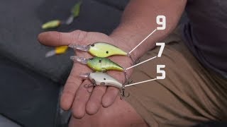 Berkley Frittisde CrankBait Reimagined Highly Effective Crankbait [upl. by Zedecrem443]