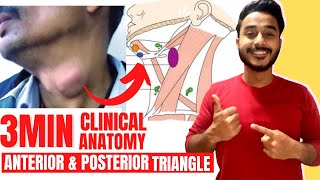 posterior triangle of neck clinical anatomy  anterior triangle of neck clinical anatomy [upl. by Friend]