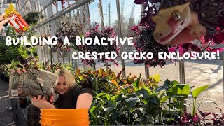 building a bioactive crested gecko enclosure pt 1 [upl. by Brocklin256]