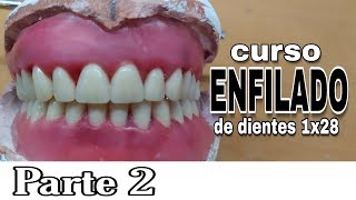 PRÓTESIS TOTAL ENFILADO o ARTICULADO DE DIENTES INFERIORES  Parte 2 [upl. by Nnaeirrac308]