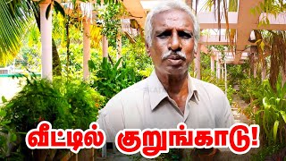 குறுங்காடாக மாறிய வீடு  சென்னையில் இப்படி ஒரு இடமா  Home Garden [upl. by Vogeley]