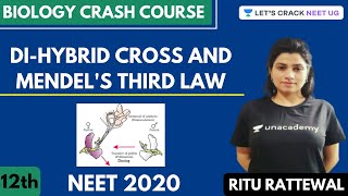 DiHybrid Cross and Mendels Third Law  Biology Crash Course  Class 12th  NEET Biology [upl. by Yretsym]