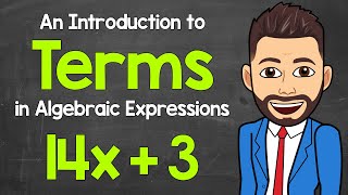 What are Terms in Algebraic Expressions  An Intro to Terms  Math with Mr J [upl. by Leihcim]