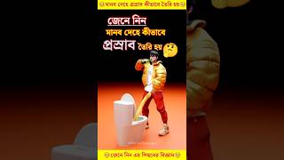 মানব দেহে প্রস্রাব কীভাবে তৈরি হয় facts knowledge [upl. by Eustashe147]