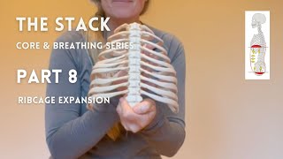 The STACK  For BETTER Core amp Breathing  PART 8 RIBCAGE EXPANSION [upl. by Ycnaffit]