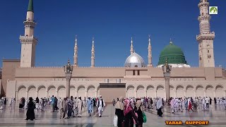 Saudi Arabia Travel Masjid Nabawi Walk in amp Out [upl. by Villada777]