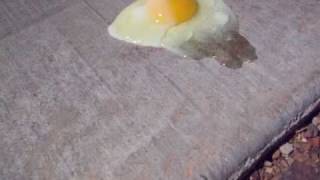 Frying an egg on the sidewalk [upl. by Gettings]