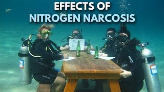 What is Nitrogen Narcosis Why do Scuba Divers Get it [upl. by Aivilys]