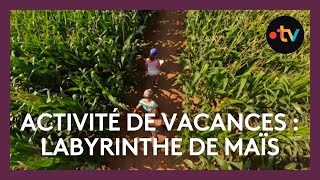 Activité de vacances  une sortie dété dans un labyrinthe [upl. by Ahsiuqram]