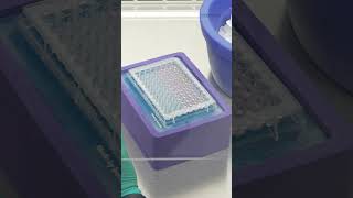 Corning Matrigel® Matrix Coating Protocol  Microplates [upl. by Shelagh420]