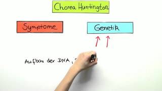 Chorea Huntington  Biologie  Genetik [upl. by Gronseth]