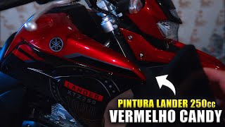 LANDER 250 VERMELHO CANDY RODAS BLACK PIANO [upl. by Jannel]