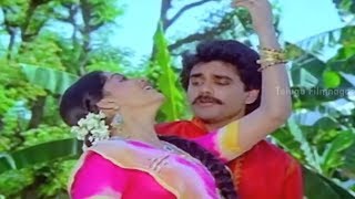 Hey Sakkubaai Full video song  Damarukam  Nagarjuna Anushka Shetty  South Film Music [upl. by Liagabba813]