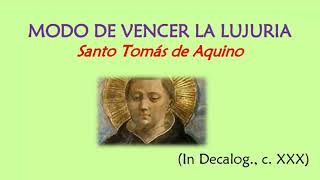 Como vencer la Lujuria según Santo Tomás de Aquino castidad lujuria pureza [upl. by Retha]