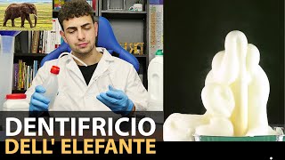 Dentifricio Dell Elefante  Esperimenti di Chimica Un Vulcano di Schiuma [upl. by Finley]