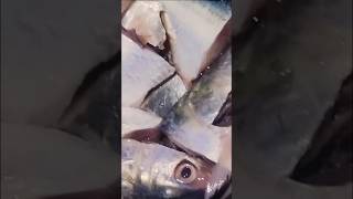 Ilish Maach Bhajallish love shortvideos video shortvideos [upl. by Tobey691]