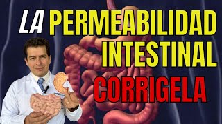 Cómo corregir la permeabilidad intestinal [upl. by Cadal]