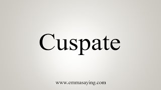 How To Say Cuspate [upl. by Ylrebmic]