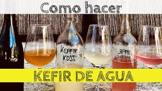 KEFIR DE AGUA la bebida probiotica Como Hacer [upl. by Nosemaj]