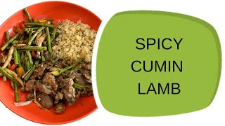 SPICY CUMIN LAMB A QUICK amp EASY WEEKNIGHT DINNER [upl. by Aivilys]