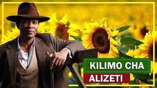 TAJIRIKA NA KILIMO CHA ALIZETI [upl. by Stedt]