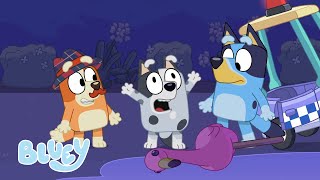 Season 1 Full Episodes  Bluey [upl. by Buffum92]