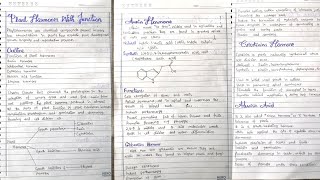 Major plant hormones and their functions phytohormones Insidelearning [upl. by Mcneil333]