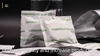 Gibberellins Gibberellic Acid GA3 [upl. by Hsekin]