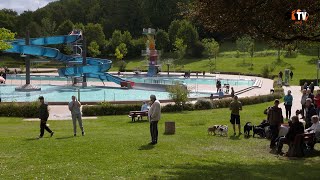 Auch das 6Hundeschwimmen im Freibad in Saalfeld war ein voller Erfolg [upl. by Aja423]