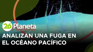 Analizan una fuga en el Océano Pacífico que daría pistas sobre los terremotos [upl. by Sekoorb706]