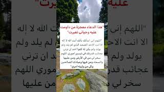 ةهذهذالnefis دعاء معجزةمن داومت [upl. by Ralyt463]