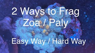 2 Ways to Frag Zoanthids  Palythoas  Zoa  Paly Fragging Saltwater Coral Reef Aquarium [upl. by Slater]