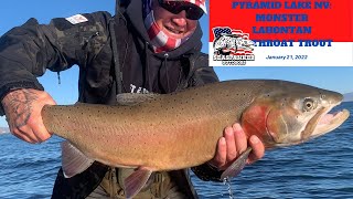 Pyramid Lake NV Monster Lahontan Cutthroat Trout [upl. by Nylecyoj]